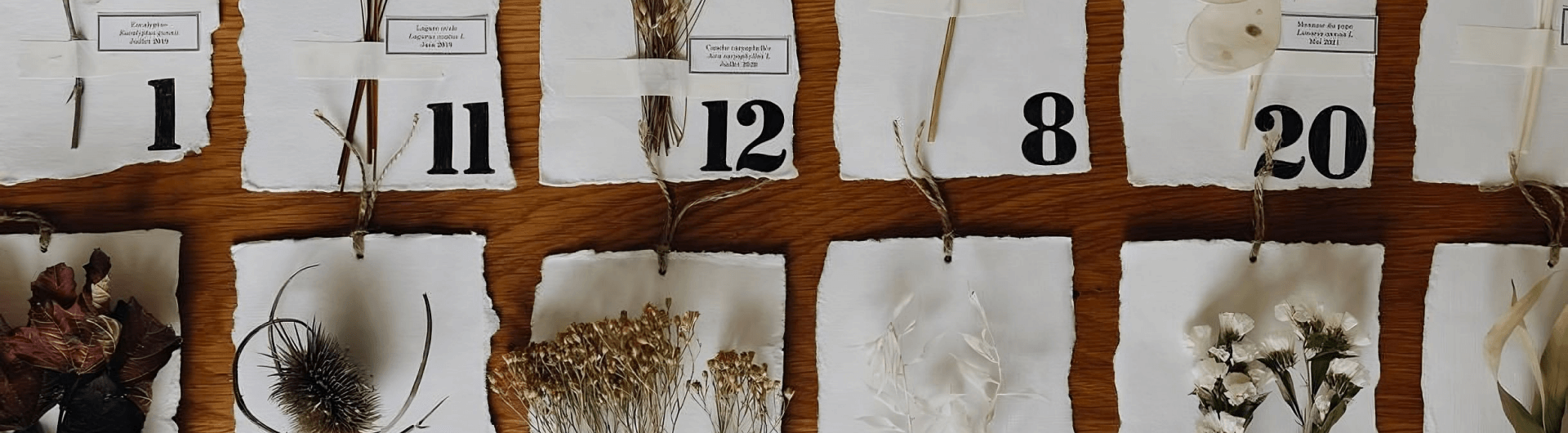 A Botanist’s Advent Calendar