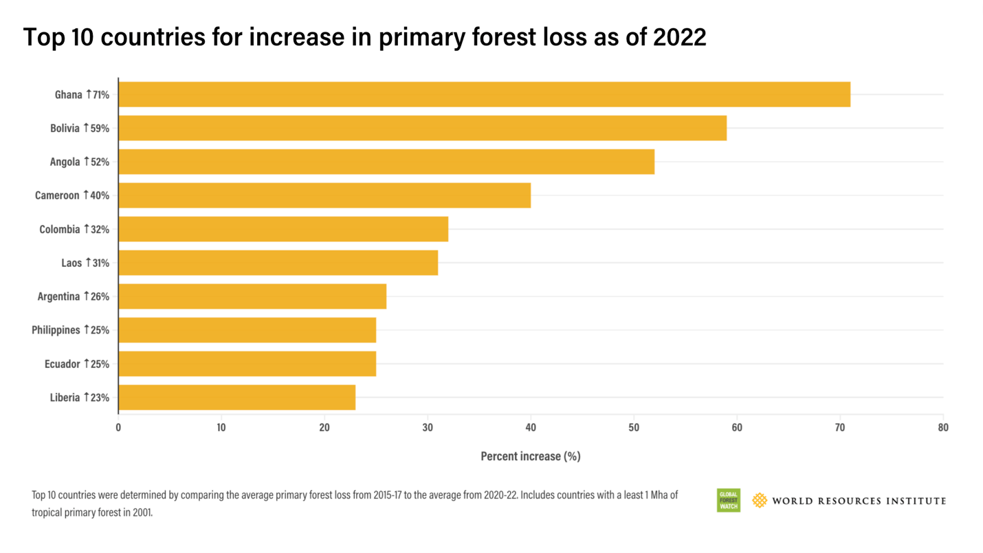 Top 10 countries for increase in primary forest loss as of 2022