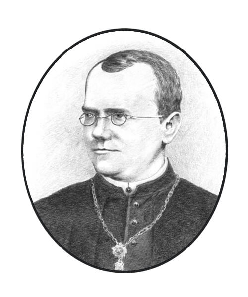 Gregor johan mendel