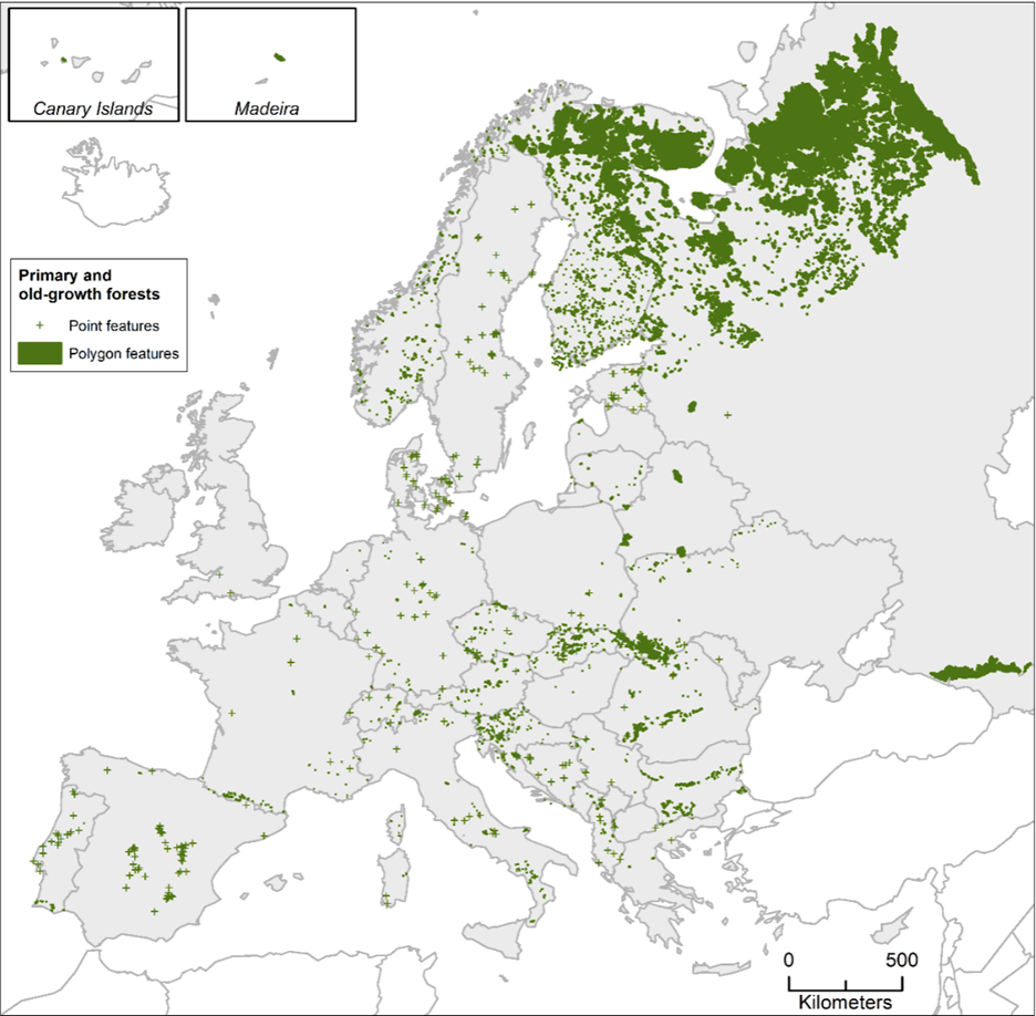 carte des forêts primaires en europe