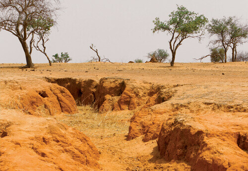 What is desertification?