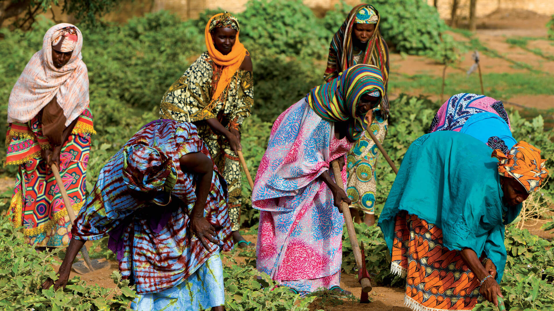 Vegetable gardens for the women