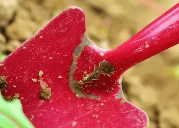 Integration through (and for) horticulture