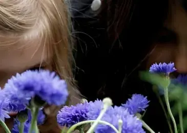 Herbarium on Stage: mobile workshops just for kids