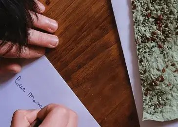 Seed paper