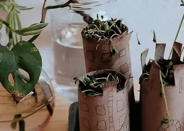 Vegetated city