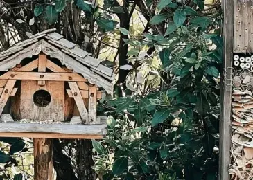 “Insect Hotel”