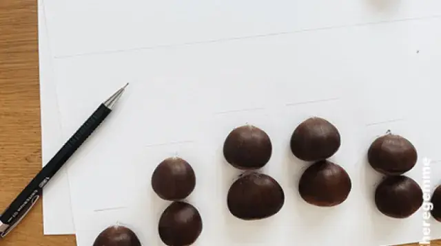 chestnut