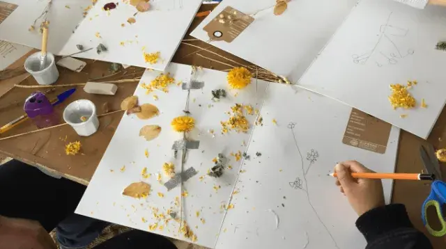 Activité éducatives