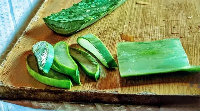 Aloe vera