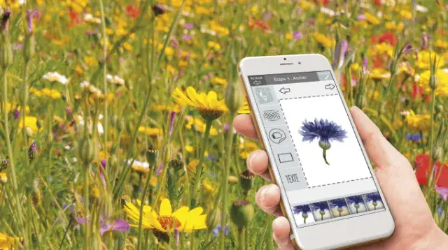 Applications mobiles