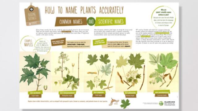 Name plants accurately
