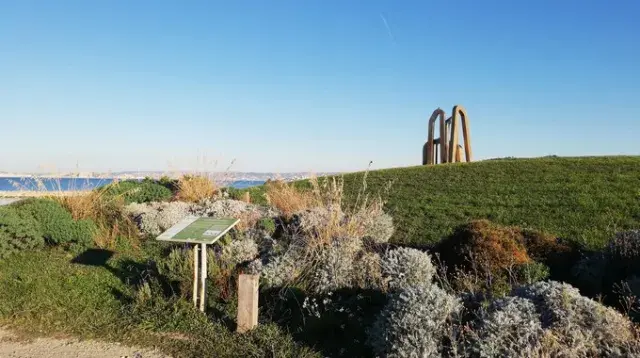 Le Jardin des Nymphes : des nouvelles du lauréat Botany For Change 2018 !