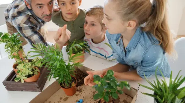 Professeur et enfants - plantes