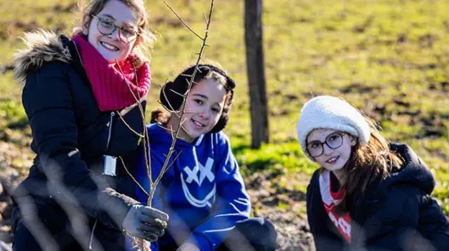 Les mains dans la terre 