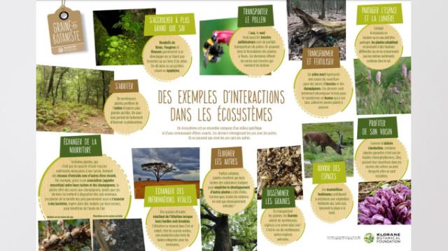 Poster-activité-ecosysteme
