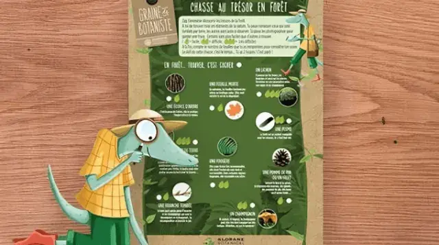 Download the forest treasure hunt