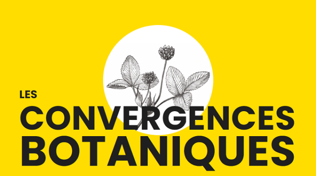 logo convergences botaniques