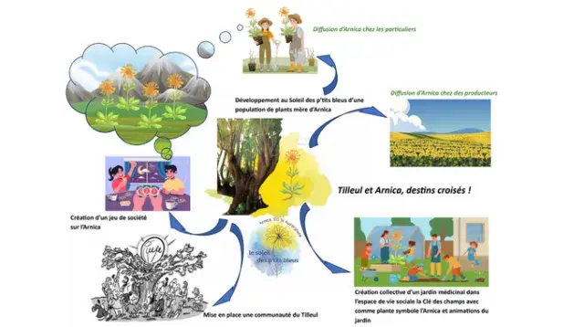 schema projet