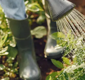 bottes de jardinier et arrosoir