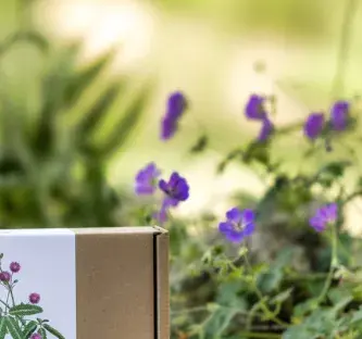 coffret dans la nature