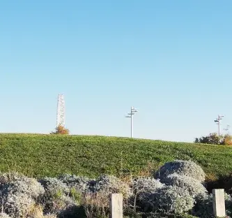 Le Jardin des Nymphes : des nouvelles du lauréat Botany For Change 2018 !