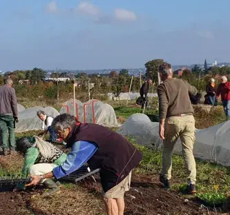 personnes dans un champ