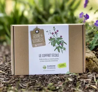 coffret dans la nature