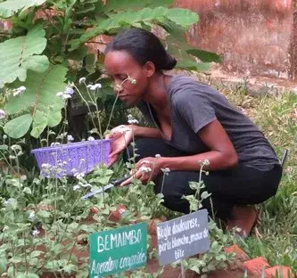 Formations des villageois aux plantes médicinales (Madagascar) avec Jardins du Monde