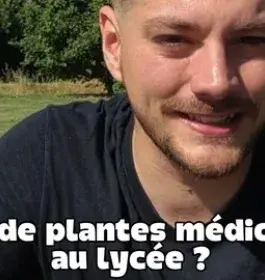 Cours de plantes médicinales au lycée ?