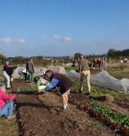 personnes dans un jardin