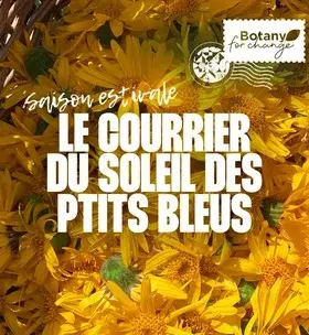 Courrier soleil des p'tits bleus