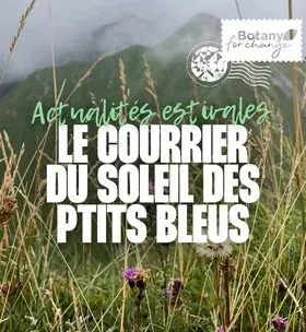 Instagram - Courrier soleil des p'tits bleus numéro 3