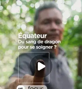 Instagram - Equateur : Du sang de dragon pour se soigner ?