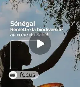 Instagram - Sénégal : Remettre la biodiversité au coeur du Sahel