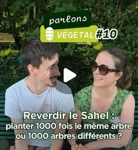 Instagram - Parlons Végétal #10 Microtrottoir