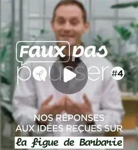 Instagram - Faux pas pousser #4