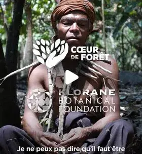 Instagram - Coeur de forêt : la forêt comme pharmacie