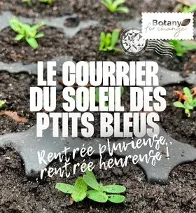 Instagram - Courrier soleil des p'tits bleus numéro 4