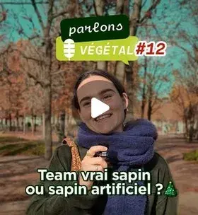 Instagram - Micro trottoir #12 : sapin naturel ou artificiel ?