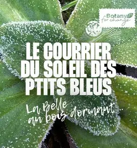 Instagram - Courrier soleil des p'tits bleus numéro 5