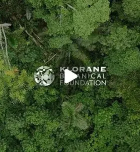 Instagram - La santé commence avec les plantes