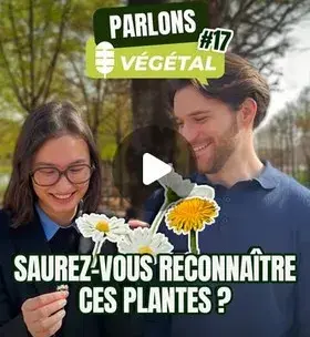 Instagram - Micro-trottoir #17 pouvez-vous reconnaître ces plantes ?