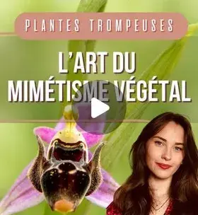 Instagram - Plantes trompeuses : l'art du mimétisme végétal
