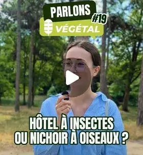 Instagram - Micro-trottoir#19 Hôtel à insectes ou nichoir à oiseaux