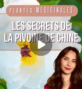 Instagram - Les secrets de la pivoine de Chine