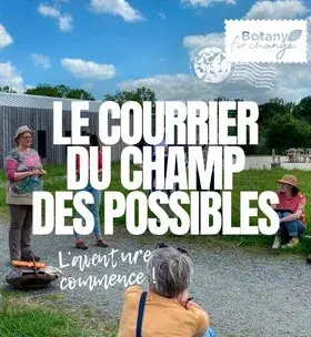 Instagram - Le courrier du champ des possibles #2