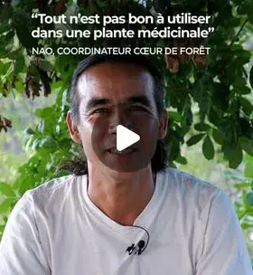 Instagram - Mais où se cachent les vertus d'une plante ?