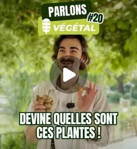 Instagram - Micro-trottoir#20 Devine quelles sont ces plantes
