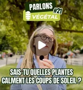 Instagram - Micro-trottoir#21 Sais-tu quelles plantes calment les coups de soleil ?